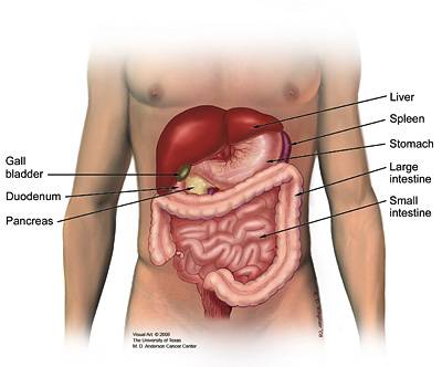 Pancreatic Cancer - Sydney In Home Care - ESP Healthcare
